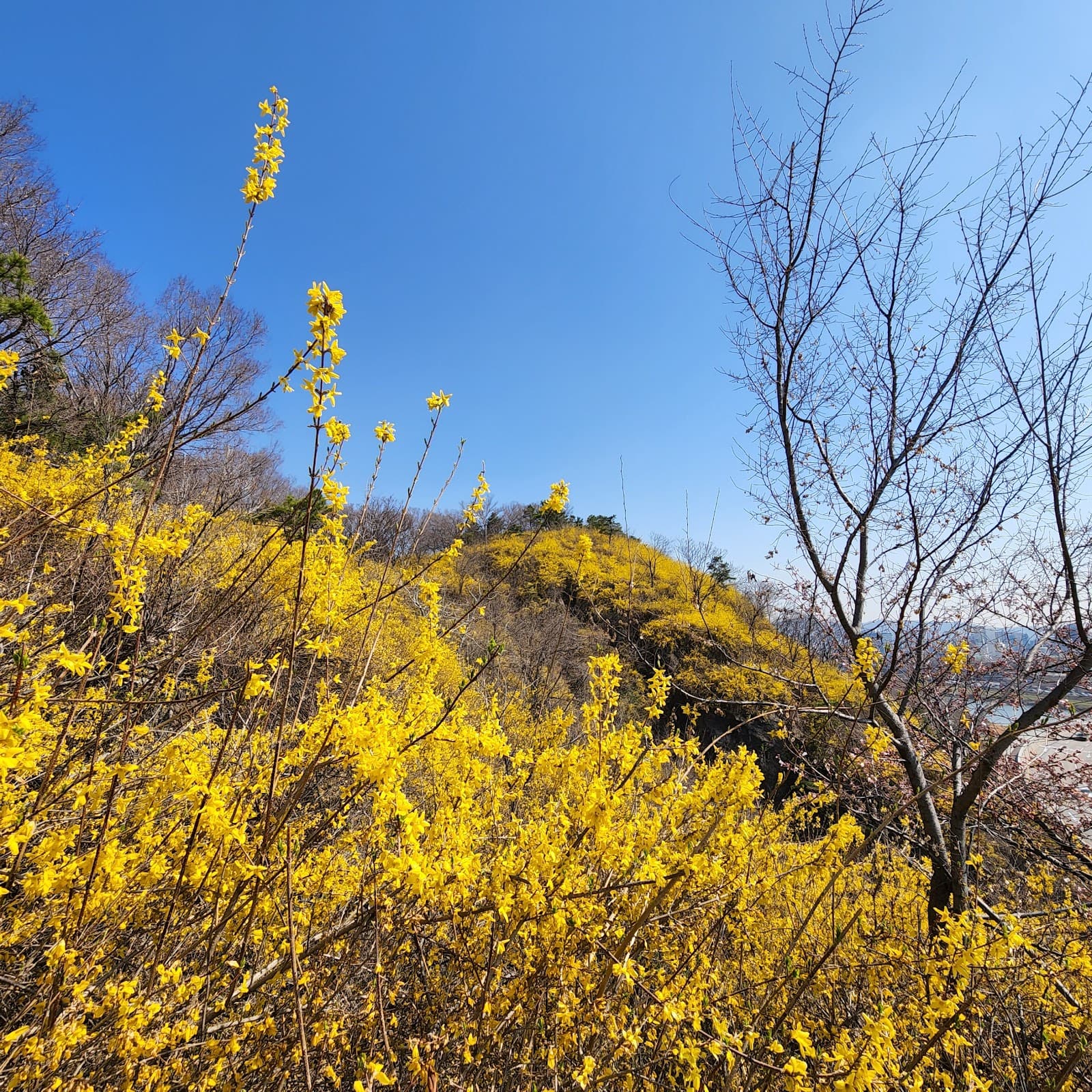 달맞이근린공원 5
