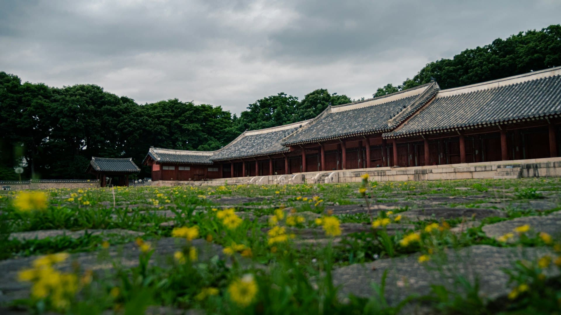 종묘 완벽 가이드 2025: 600년 왕실 제례의식과 유네스코 인류무형문화유산의 살아있는 전통