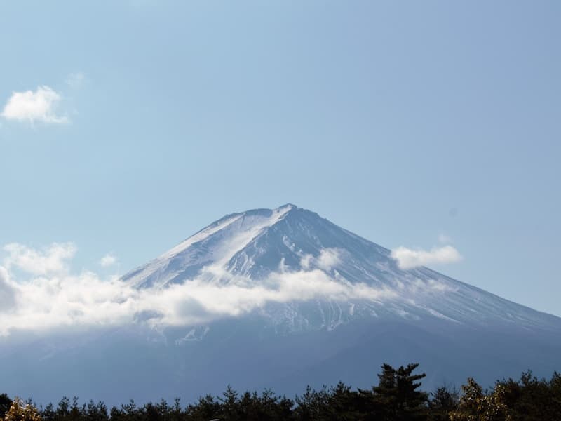 韩国传统马车与轿子:在首尔体验朝鲜的移动文化遗产