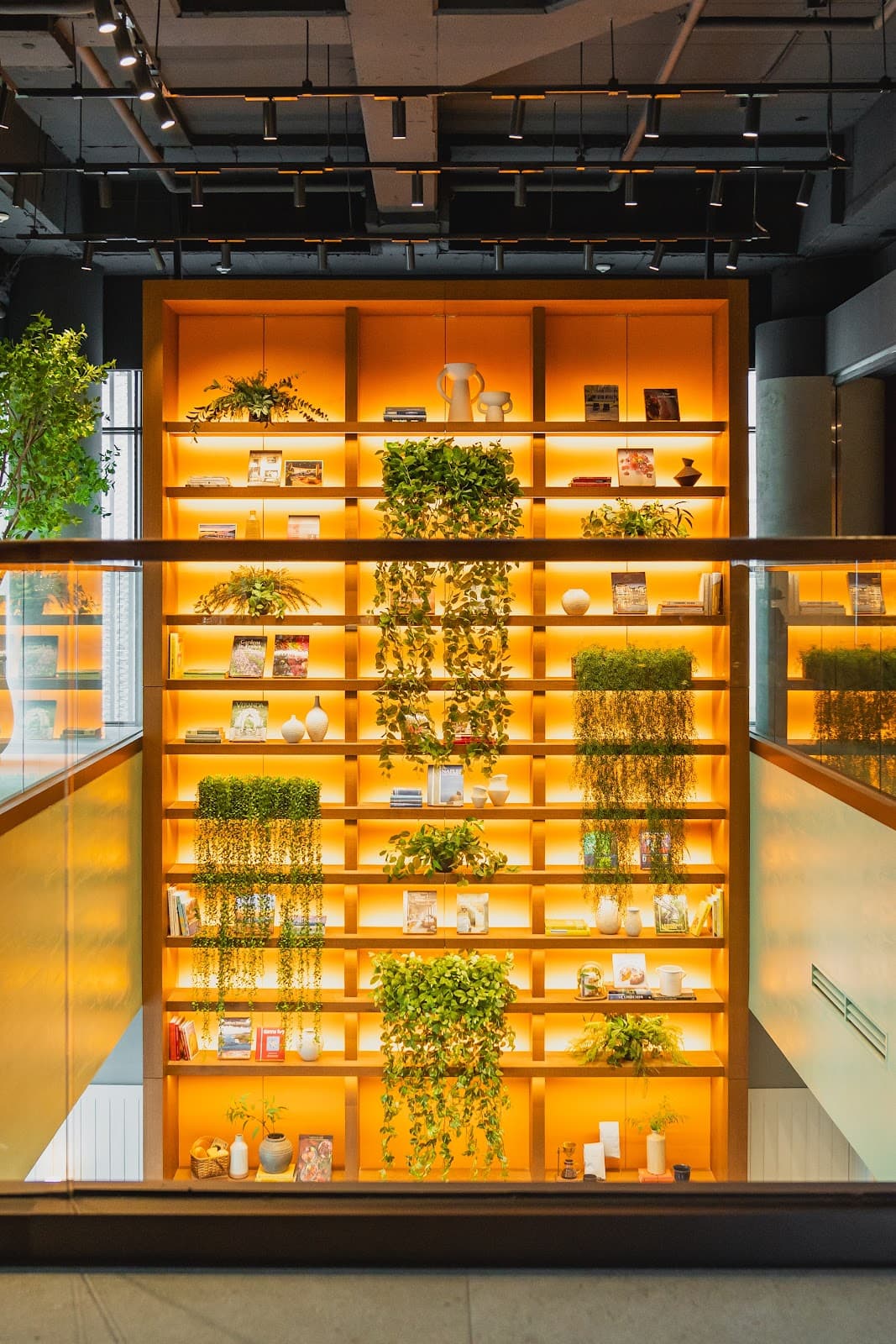 Collage — 阿南提江南米其林法式精致料理