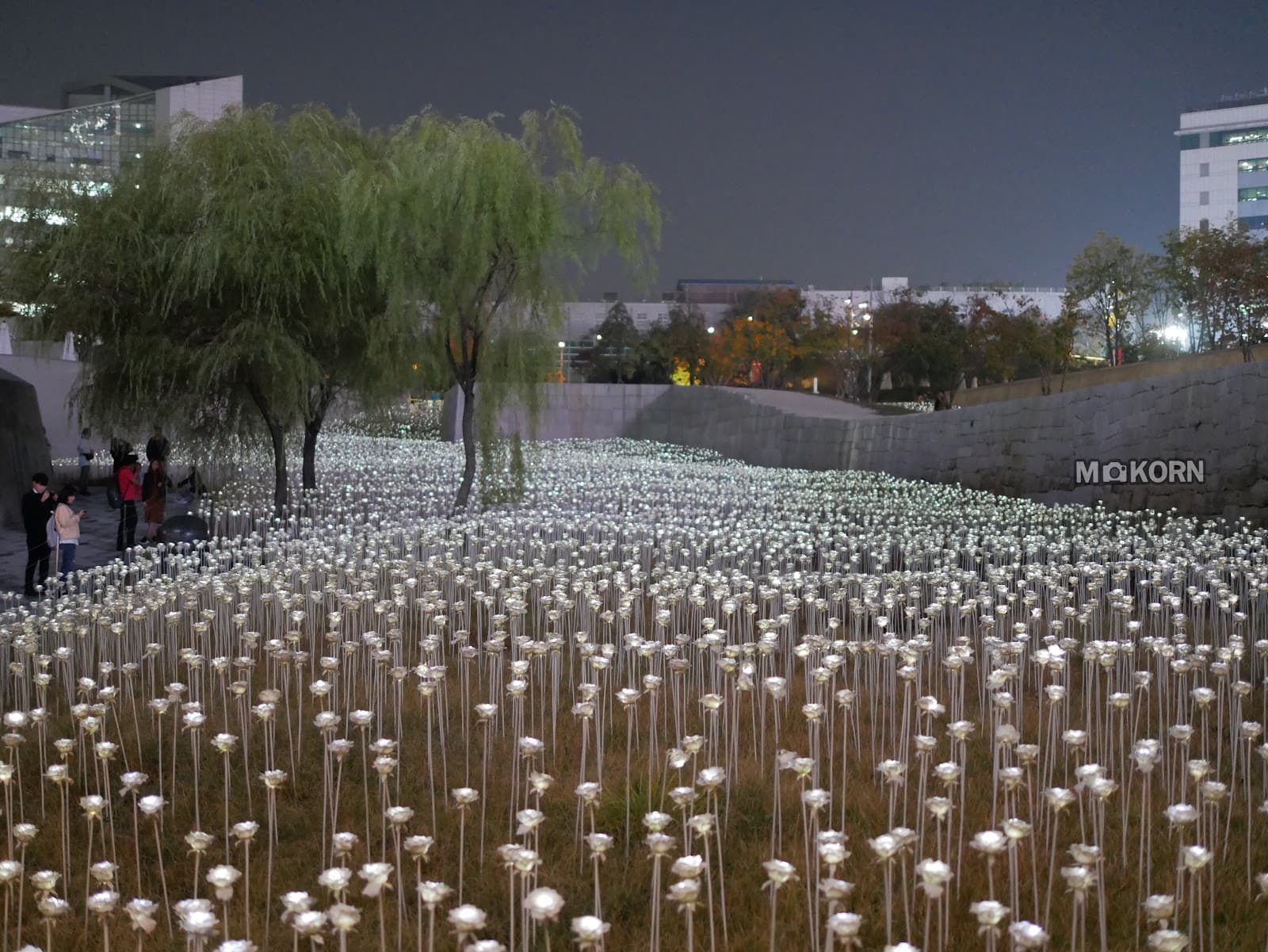 동대문디자인플라자 (DDP) 3