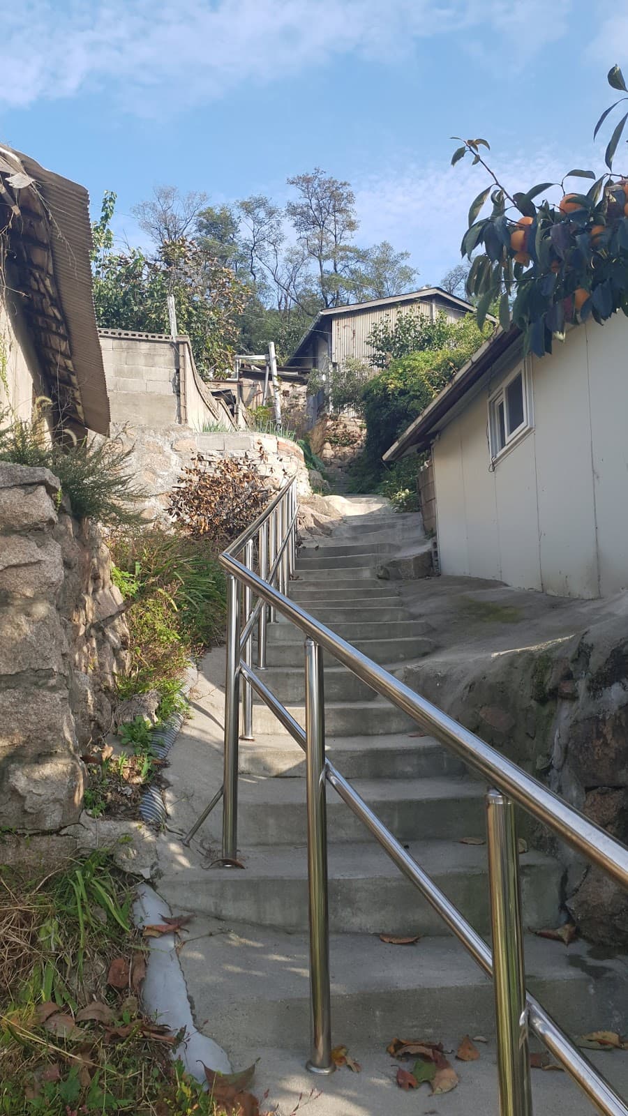 ケミマウル(アリ村) 3