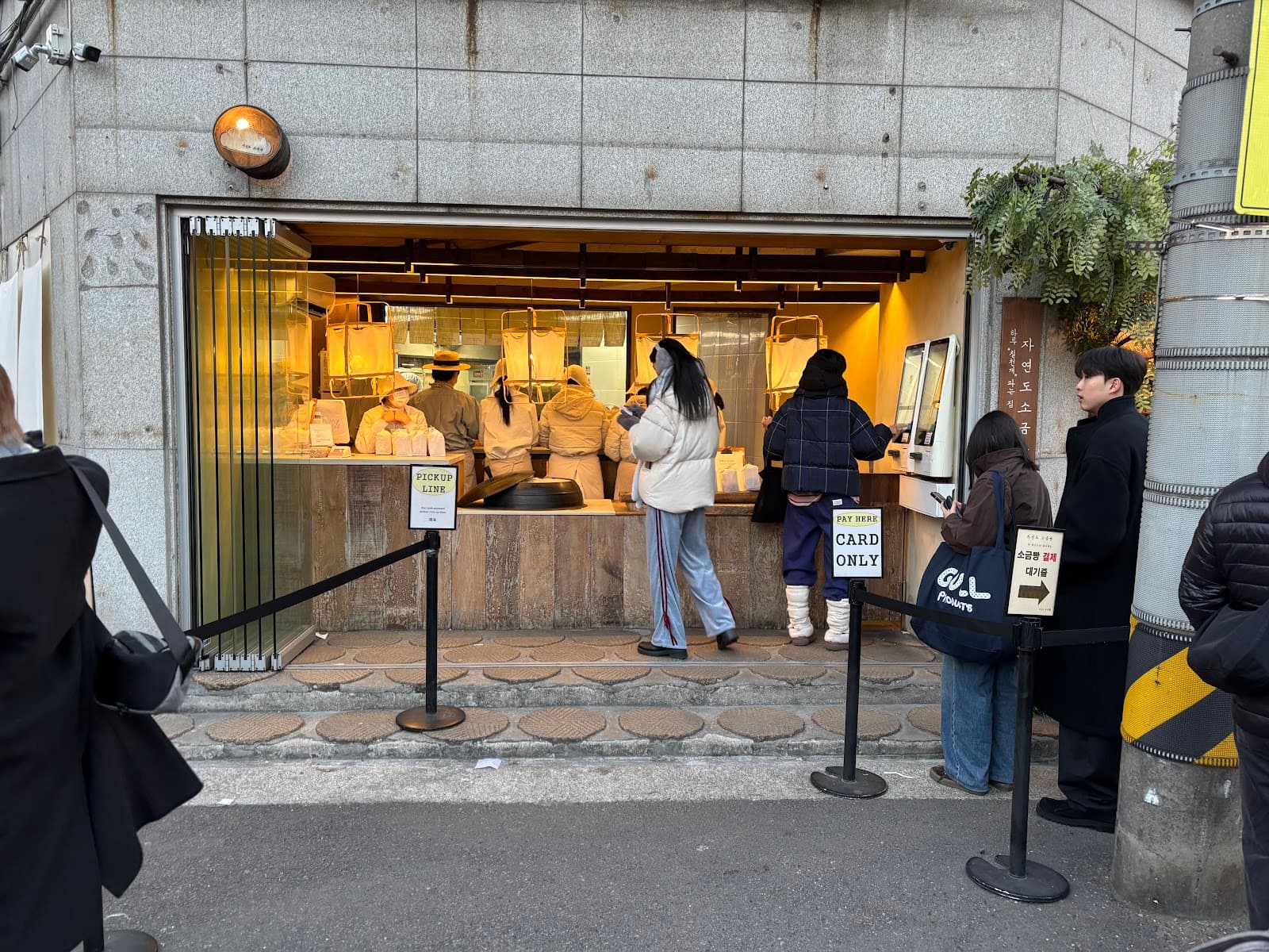 Jayyeondo Salt Bread(自円島塩パン) 5