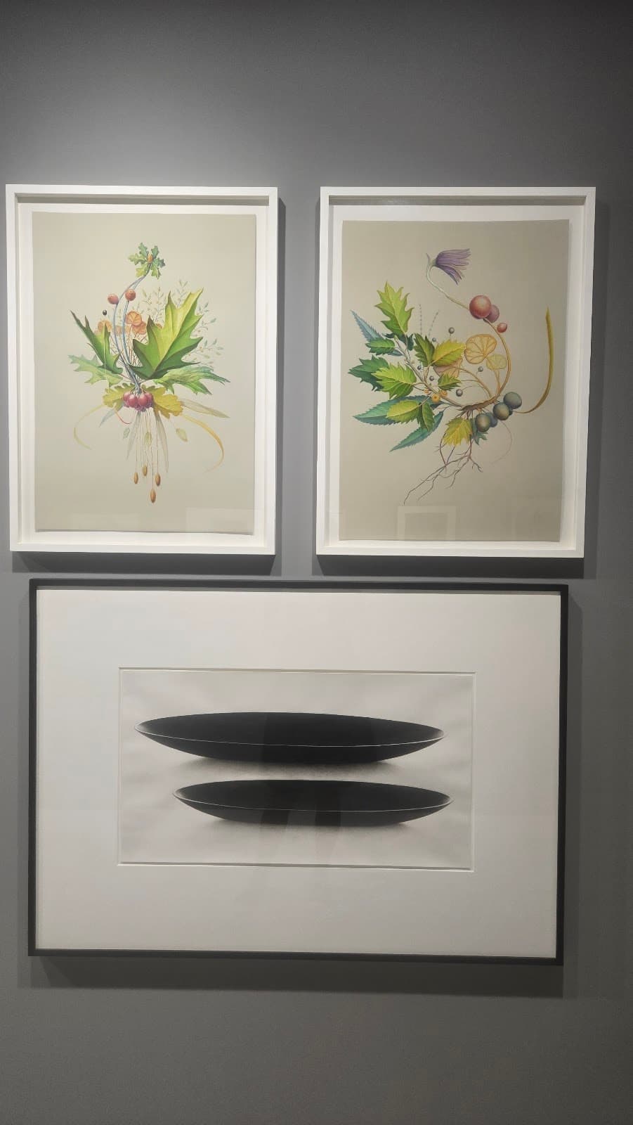 Meyer Riegger Wolff 5