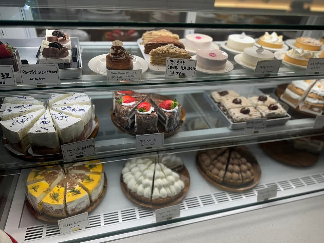 Saeraul (새라울) 5