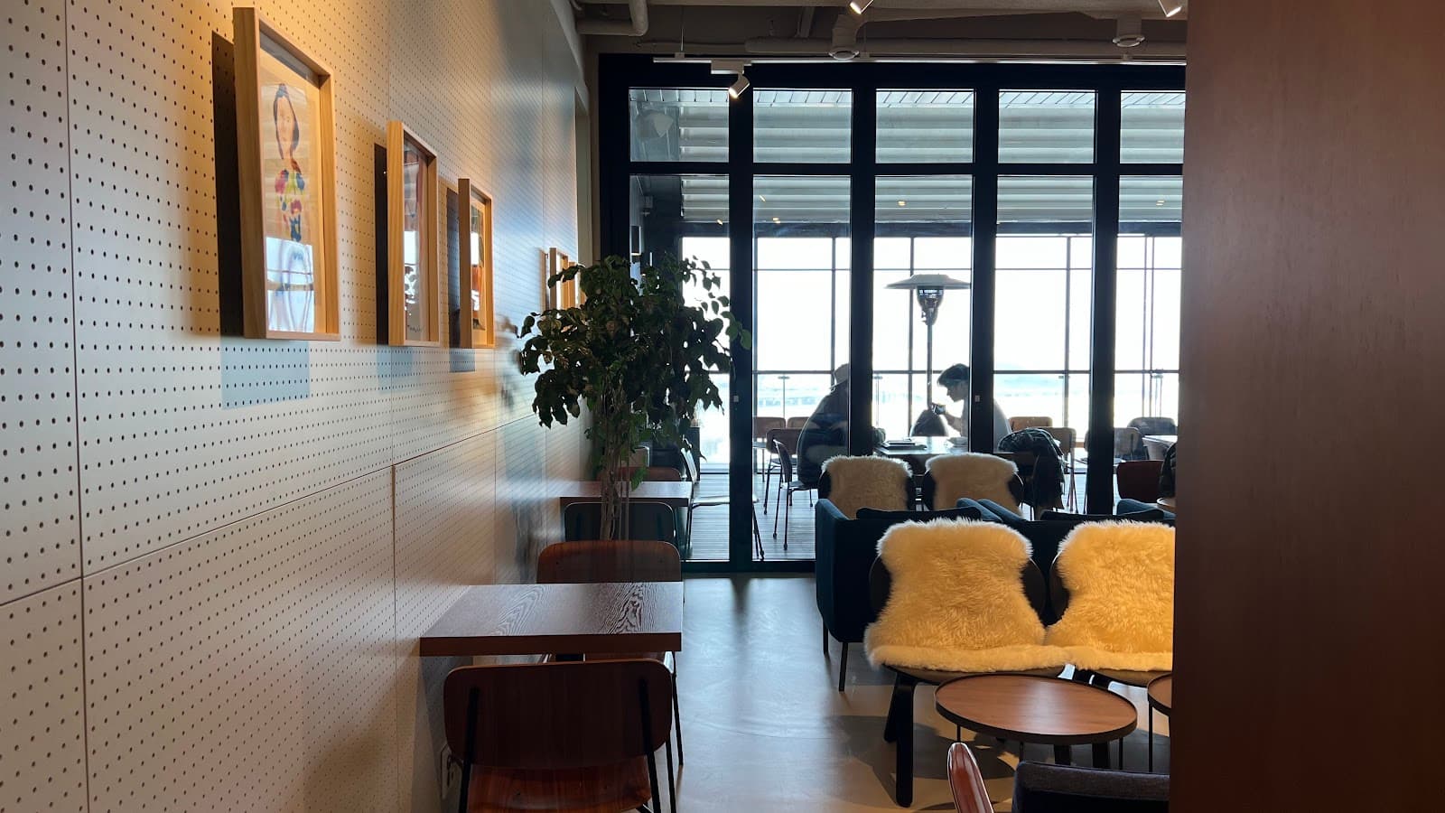 泰勒咖啡9.5 (Tellers 9.5)