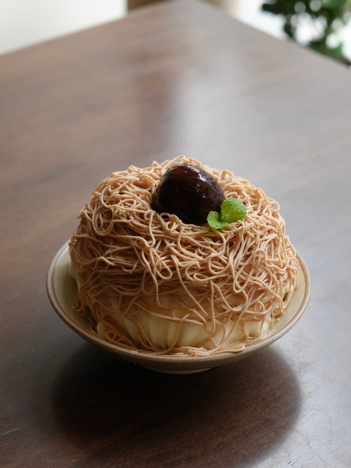 トータス ヘバンチョン 5