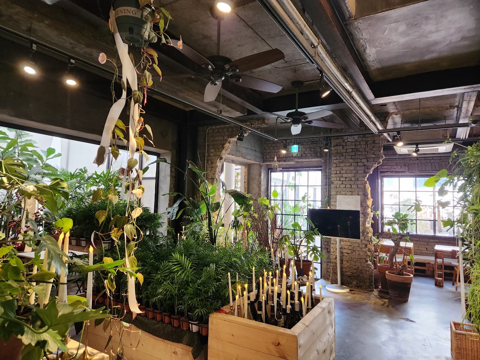 어반플랜트 (Urban Plant) 3