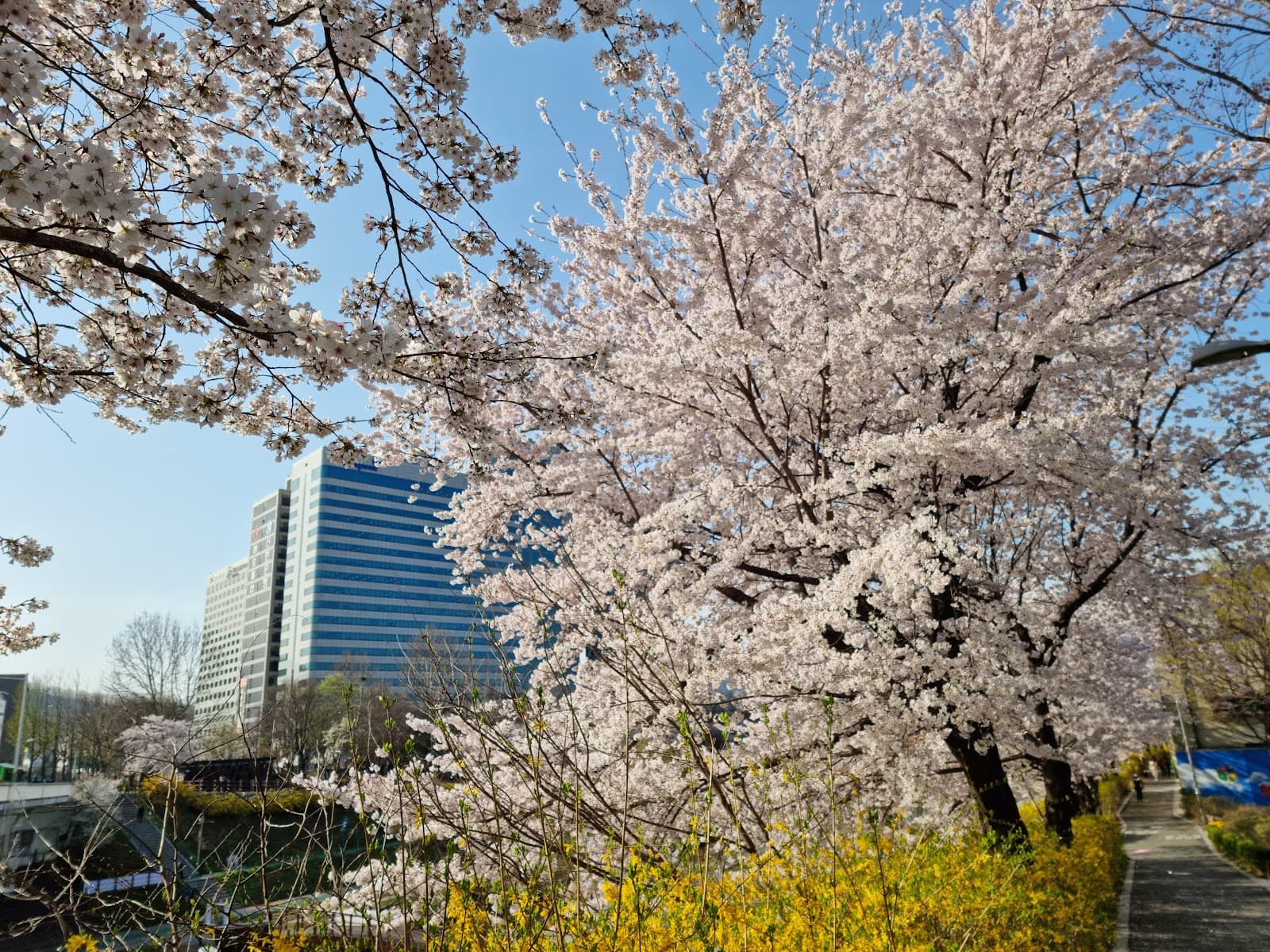 良才川河畔文化休息区 4
