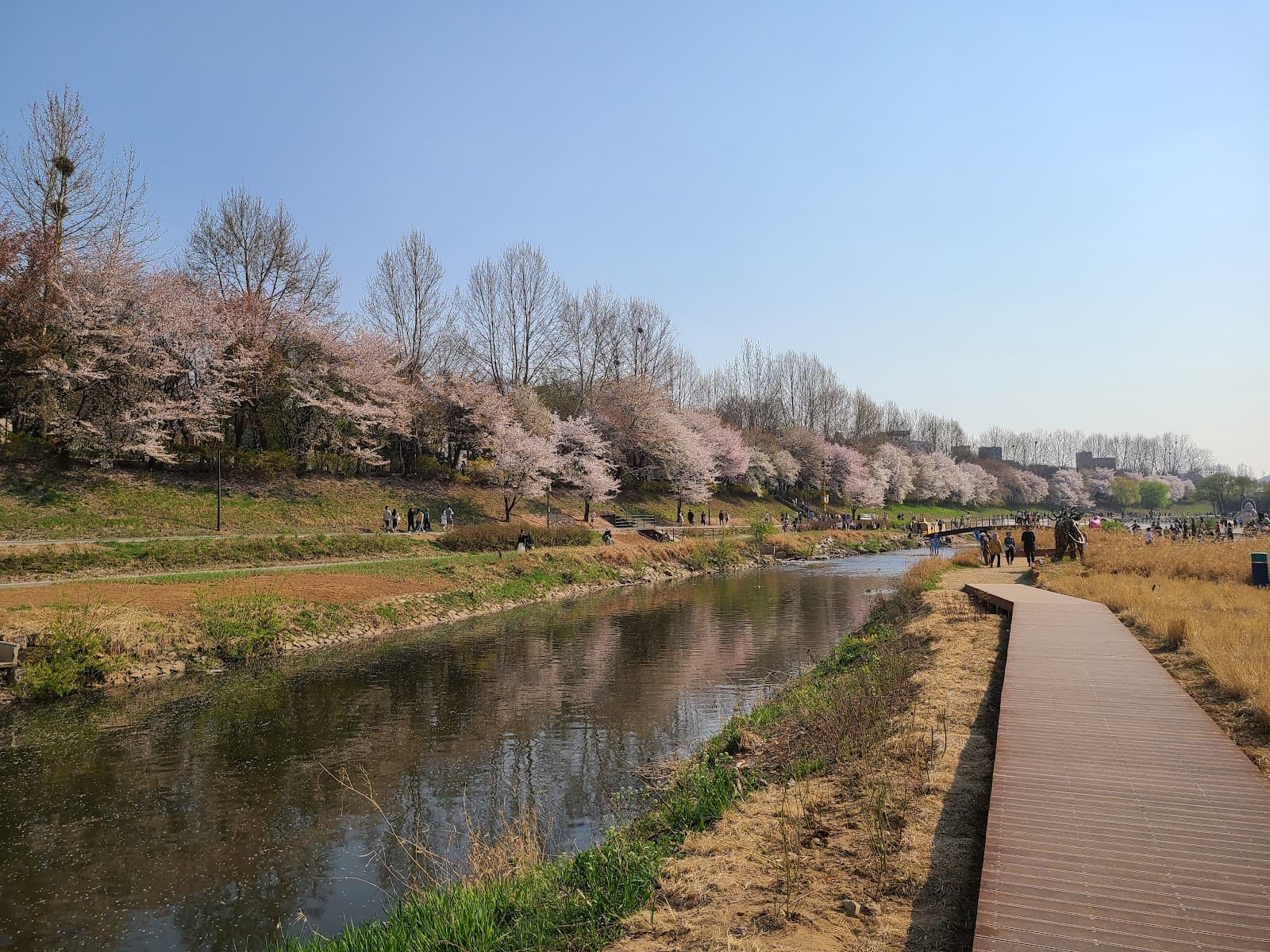良才川河畔文化休息区 5