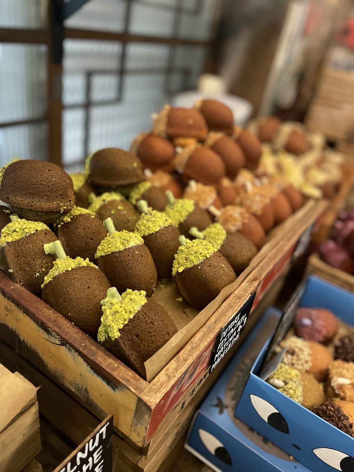 Dotori Garden — 从复式内部俯瞰庭院