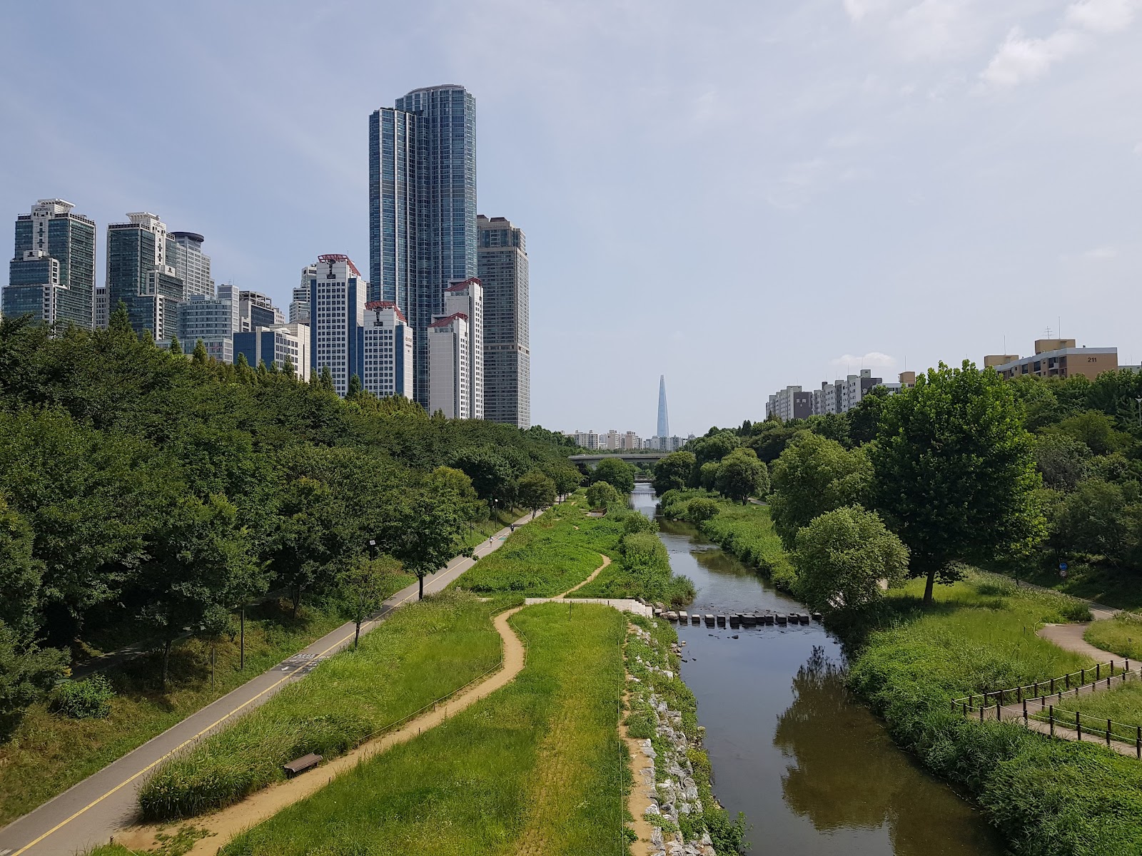 良才川の夏の散策路、遠くにロッテワールドタワーが見える